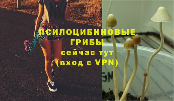 скорость Балахна