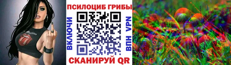 OMG ССЫЛКА  Лукоянов  Галлюциногенные грибы Psilocybe 